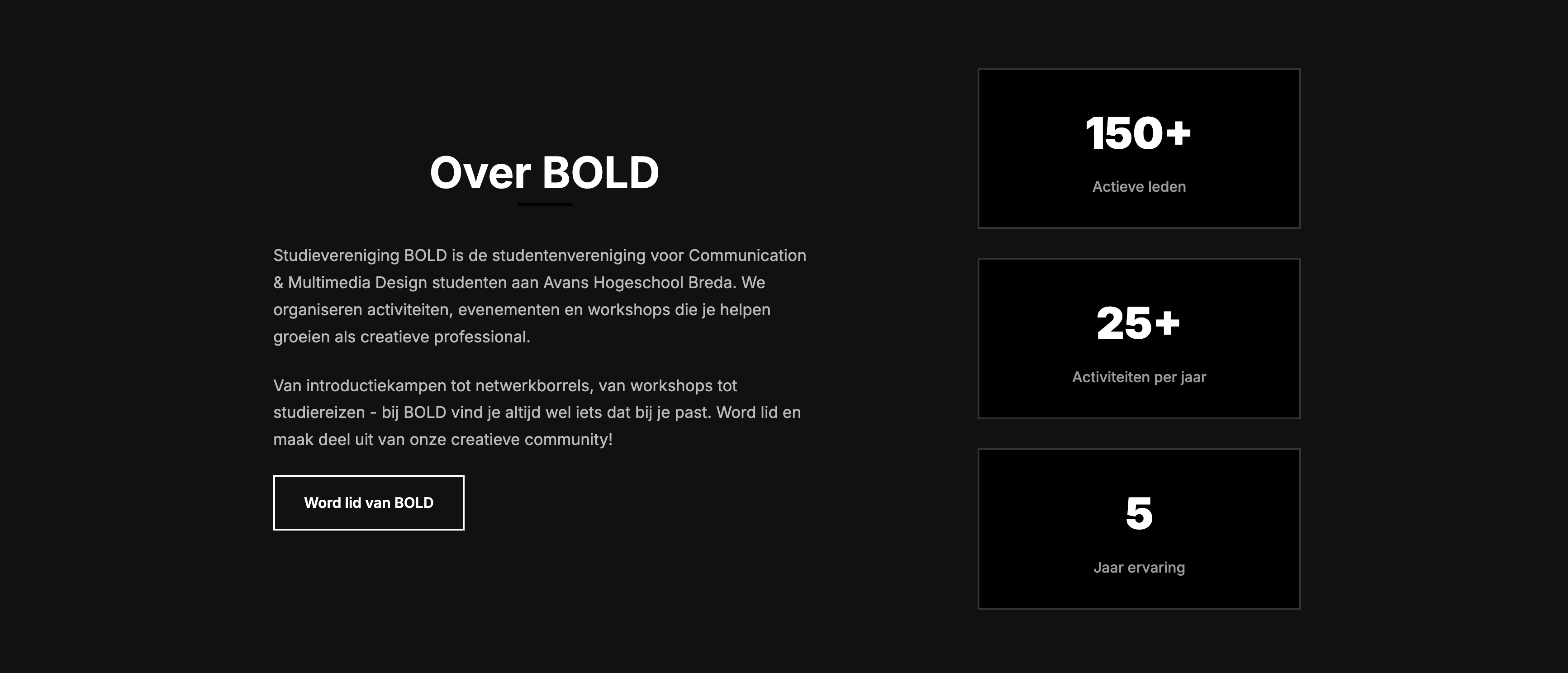 Bold website 3